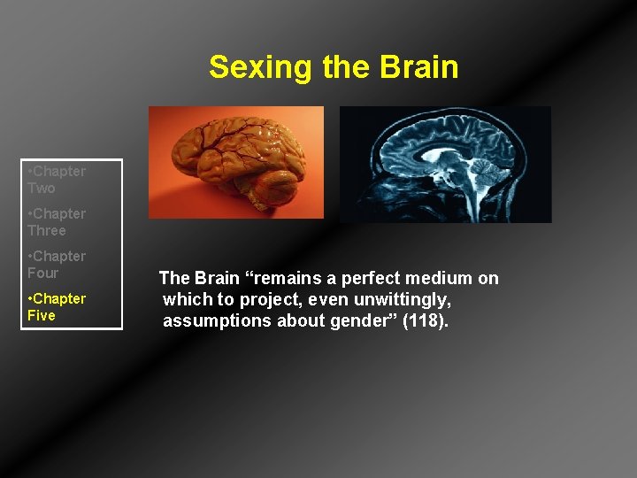 Sexing the Brain • Chapter Two • Chapter Three • Chapter Four • Chapter