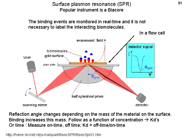 Surface plasmon resonance (SPR) Popular instrument is a Biacore The binding events are monitored