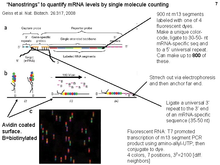 “Nanostrings” to quantify m. RNA levels by single molecule counting Geiss et al. Nat.