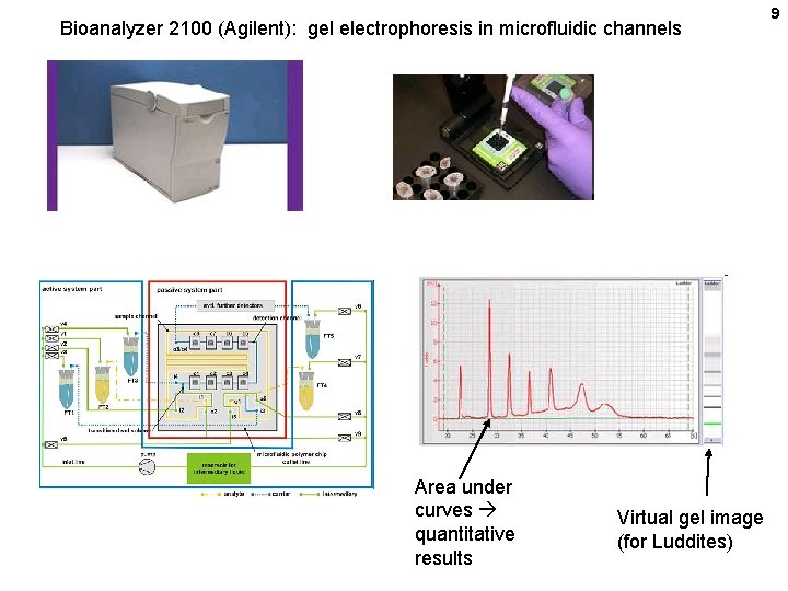 Bioanalyzer 2100 (Agilent): gel electrophoresis in microfluidic channels Area under curves quantitative results Virtual