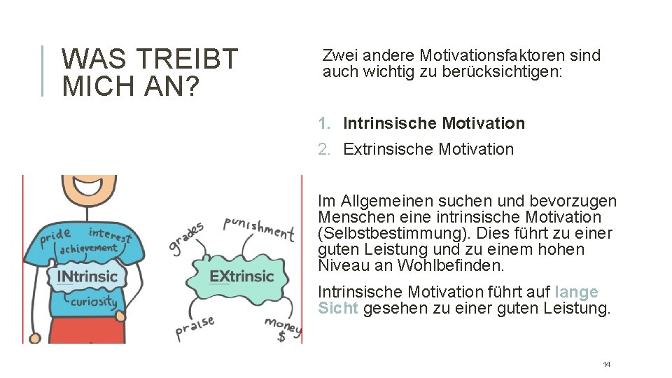 WAS TREIBT MICH AN? Zwei andere Motivationsfaktoren sind auch wichtig zu berücksichtigen: 1. Intrinsische