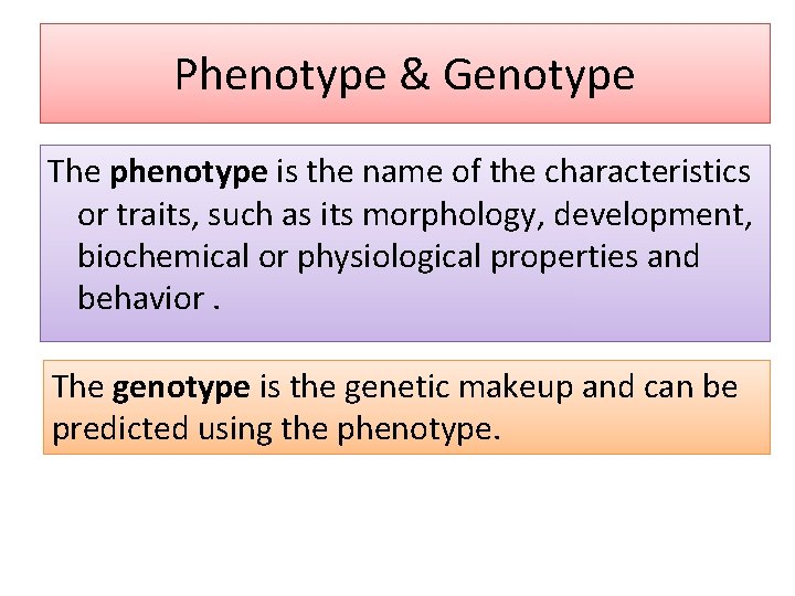 Phenotype & Genotype The phenotype is the name of the characteristics or traits, such