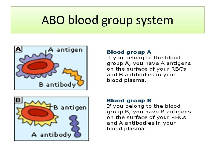 ABO blood group system 