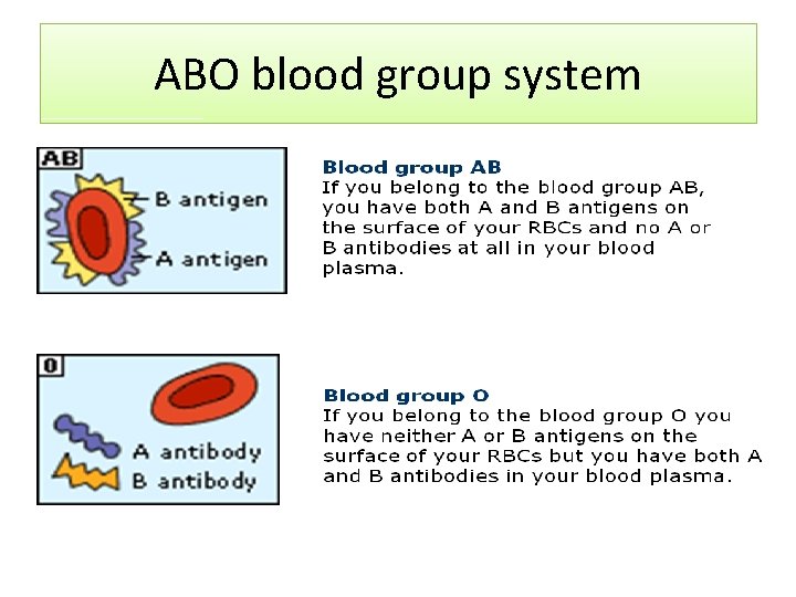 ABO blood group system 