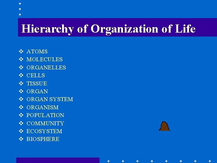 Hierarchy of Organization of Life v v v ATOMS MOLECULES ORGANELLES CELLS TISSUE ORGAN