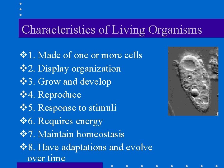 Characteristics of Living Organisms v 1. Made of one or more cells v 2.