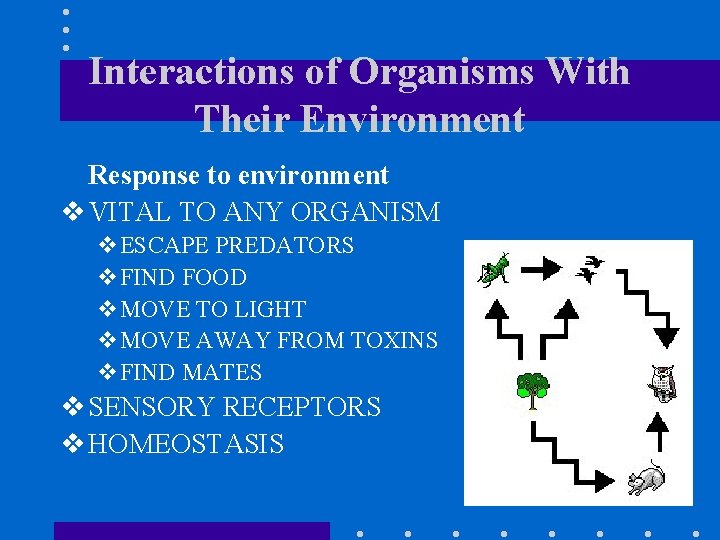 Interactions of Organisms With Their Environment Response to environment v VITAL TO ANY ORGANISM