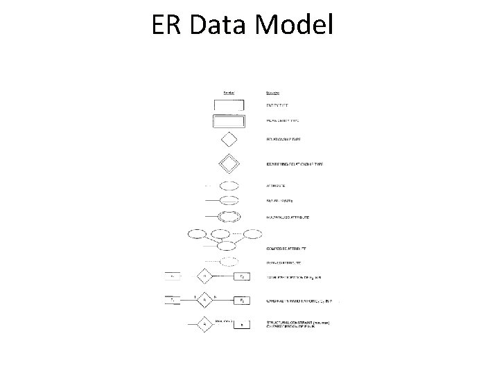 ER Data Model ER Data Model
