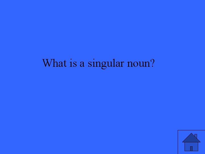 What is a singular noun? 