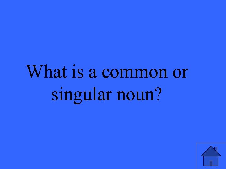 What is a common or singular noun? 