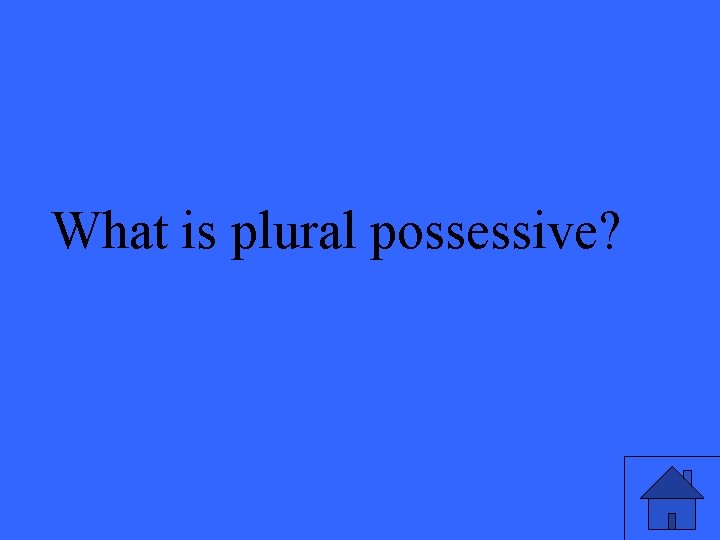 What is plural possessive? 