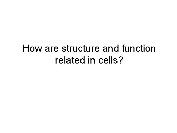 How are structure and function related in cells? 