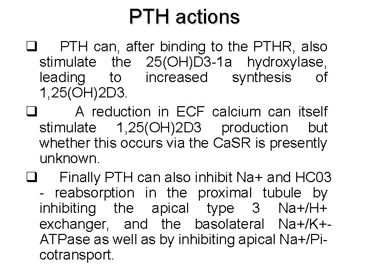 PTH actions q PTH can, after binding to the PTHR, also stimulate the 25(OH)D