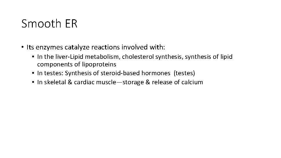 Smooth ER • Its enzymes catalyze reactions involved with: • In the liver-Lipid metabolism,