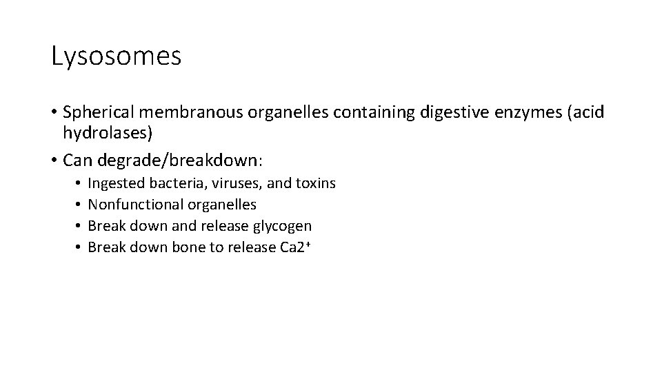 Lysosomes • Spherical membranous organelles containing digestive enzymes (acid hydrolases) • Can degrade/breakdown: •