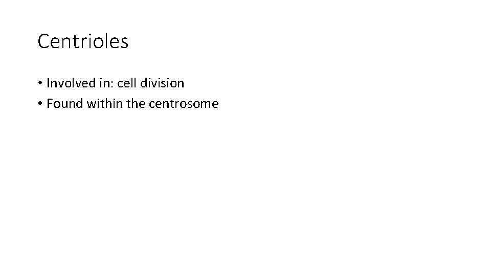 Centrioles • Involved in: cell division • Found within the centrosome 