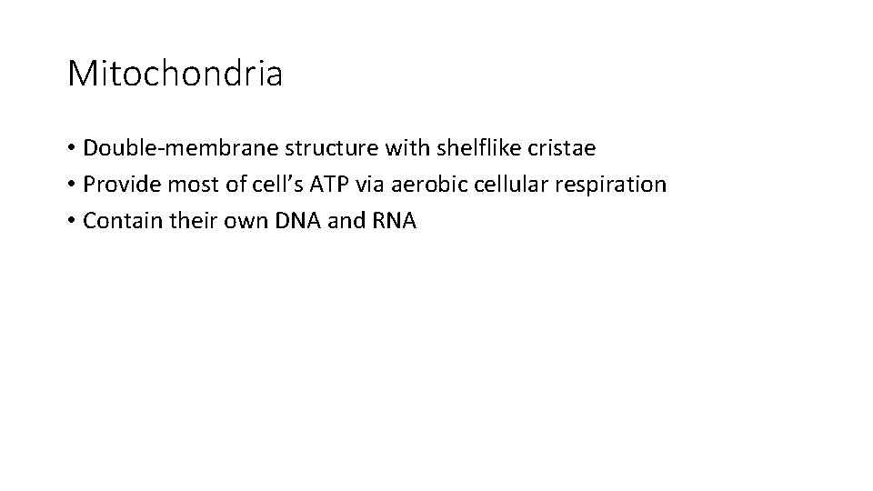 Mitochondria • Double-membrane structure with shelflike cristae • Provide most of cell’s ATP via