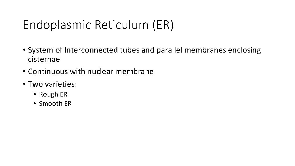 Endoplasmic Reticulum (ER) • System of Interconnected tubes and parallel membranes enclosing cisternae •