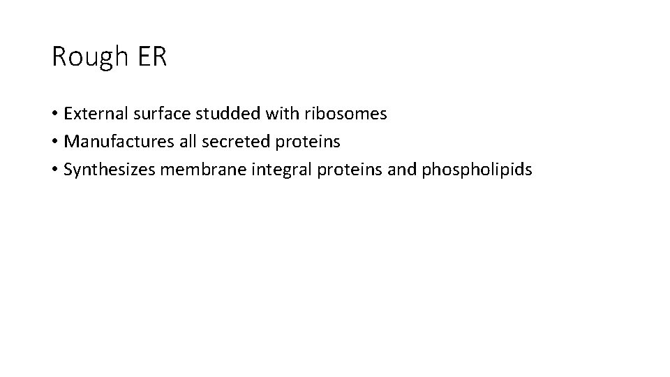 Rough ER • External surface studded with ribosomes • Manufactures all secreted proteins •