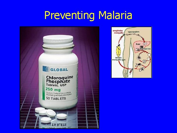 Preventing Malaria 