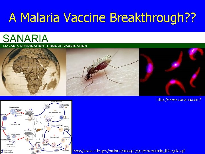 A Malaria Vaccine Breakthrough? ? http: //www. sanaria. com/ http: //www. cdc. gov/malaria/images/graphs/malaria_lifecycle. gif