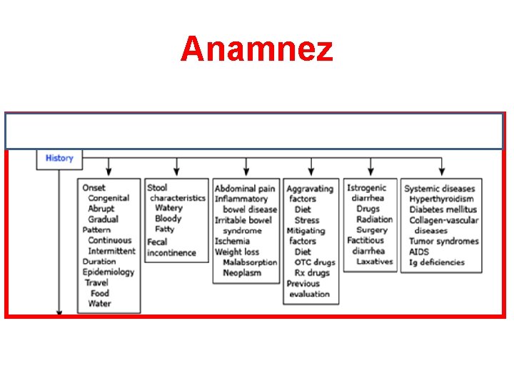 Anamnez 