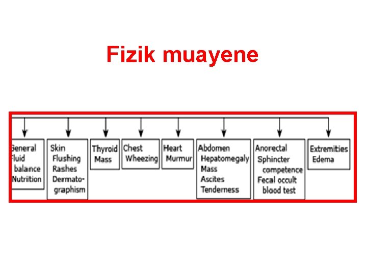 Fizik muayene 