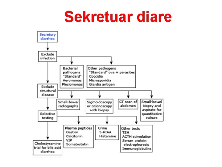 Sekretuar diare 