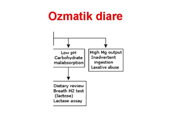 Ozmatik diare 