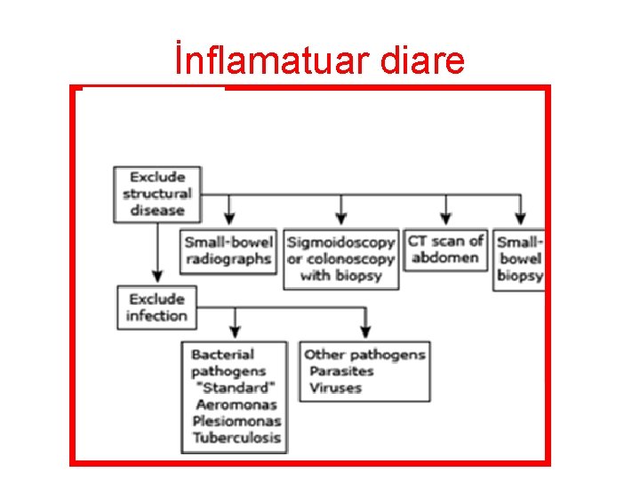 İnflamatuar diare 