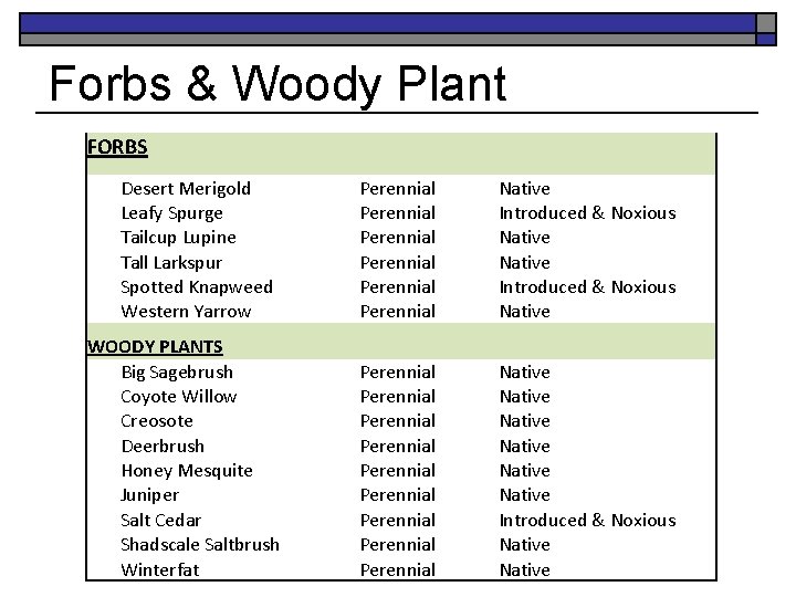 Forbs & Woody Plant FORBS Desert Merigold Leafy Spurge Tailcup Lupine Tall Larkspur Spotted