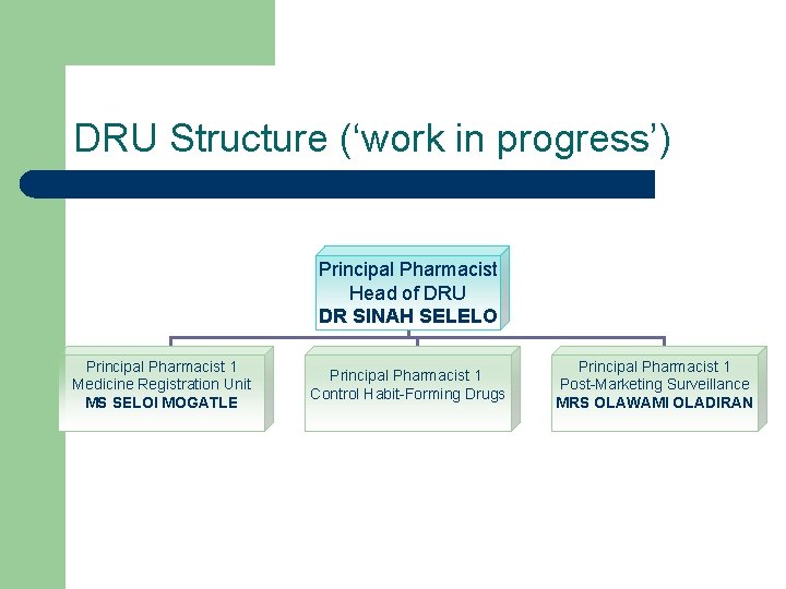 DRU Structure (‘work in progress’) Principal Pharmacist Head of DRU DR SINAH SELELO Principal