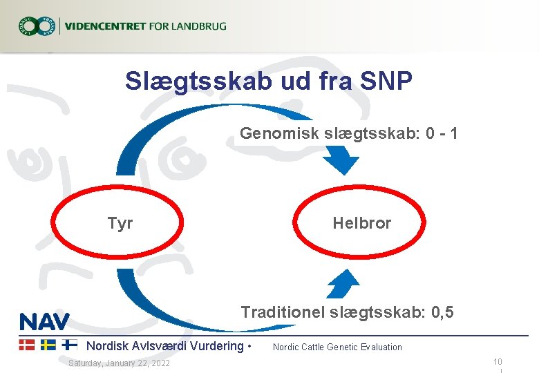 Slægtsskab ud fra SNP Genomisk slægtsskab: 0 - 1 !Tyr !Helbror Traditionel slægtsskab: 0,