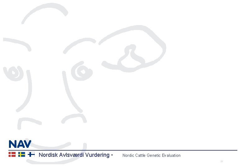 Nordisk Avlsværdi Vurdering • Nordic Cattle Genetic Evaluation 28 