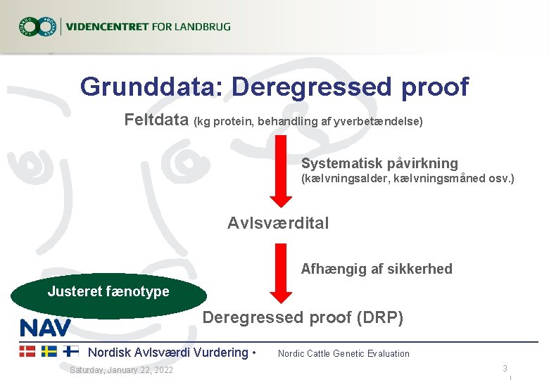 Grunddata: Deregressed proof Feltdata (kg protein, behandling af yverbetændelse) Systematisk påvirkning (kælvningsalder, kælvningsmåned osv.