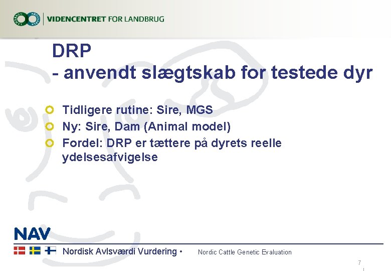 DRP - anvendt slægtskab for testede dyr Tidligere rutine: Sire, MGS Ny: Sire, Dam