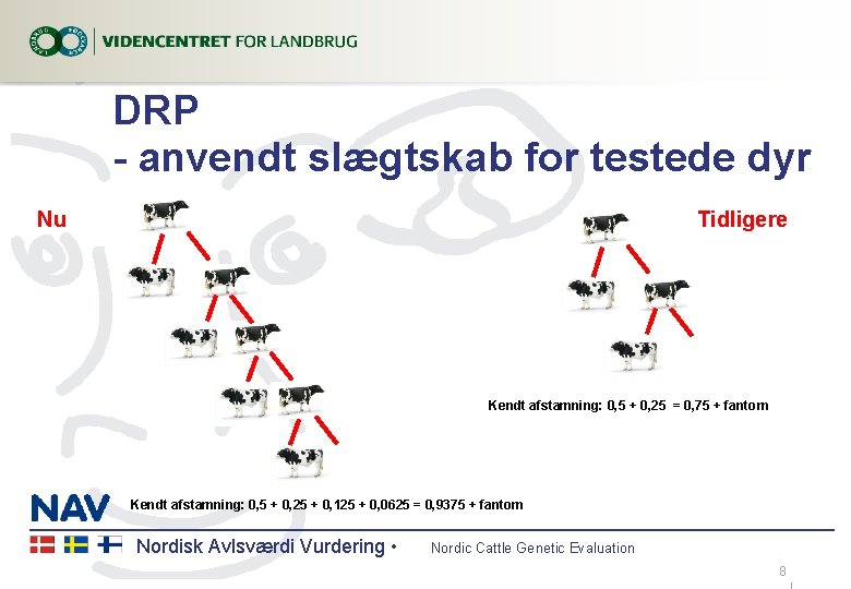 DRP - anvendt slægtskab for testede dyr Nu Tidligere Kendt afstamning: 0, 5 +