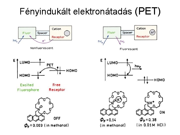 Fényindukált elektronátadás (PET) 