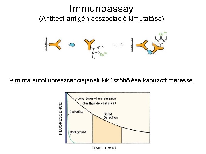 Immunoassay (Antitest-antigén asszociáció kimutatása) A minta autofluoreszcenciájának kiküszöbölése kapuzott méréssel 