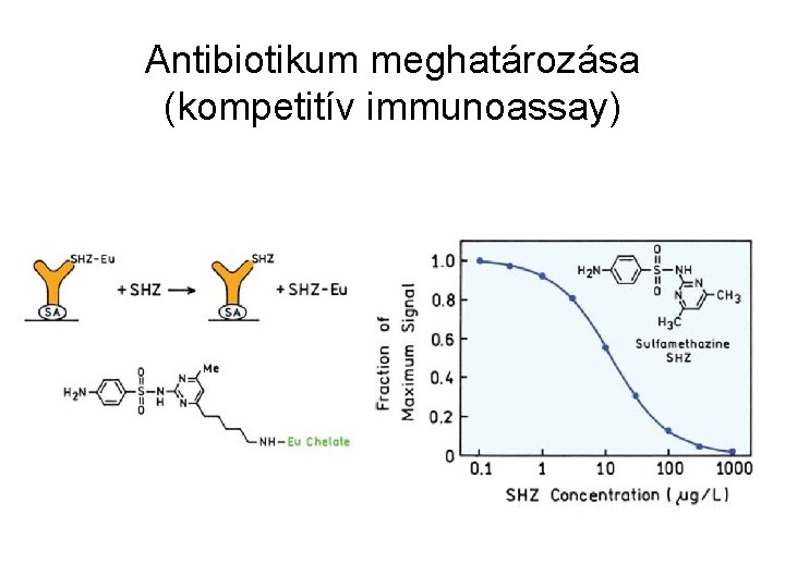 Antibiotikum meghatározása (kompetitív immunoassay) 