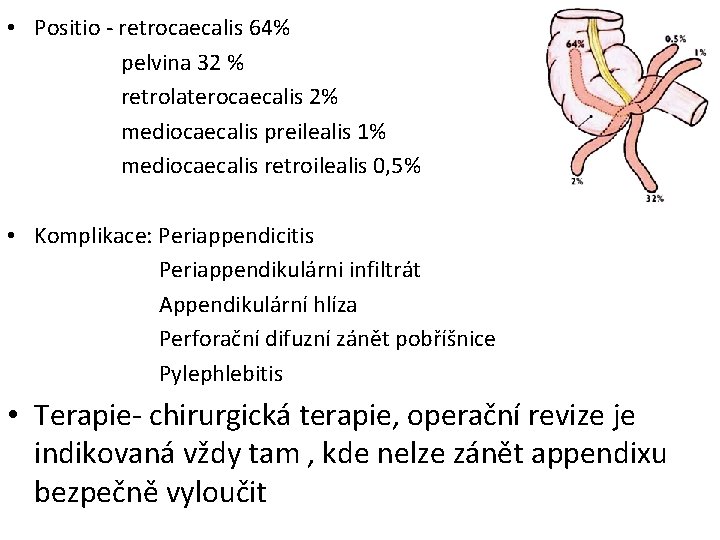  • Positio - retrocaecalis 64% pelvina 32 % retrolaterocaecalis 2% mediocaecalis preilealis 1%