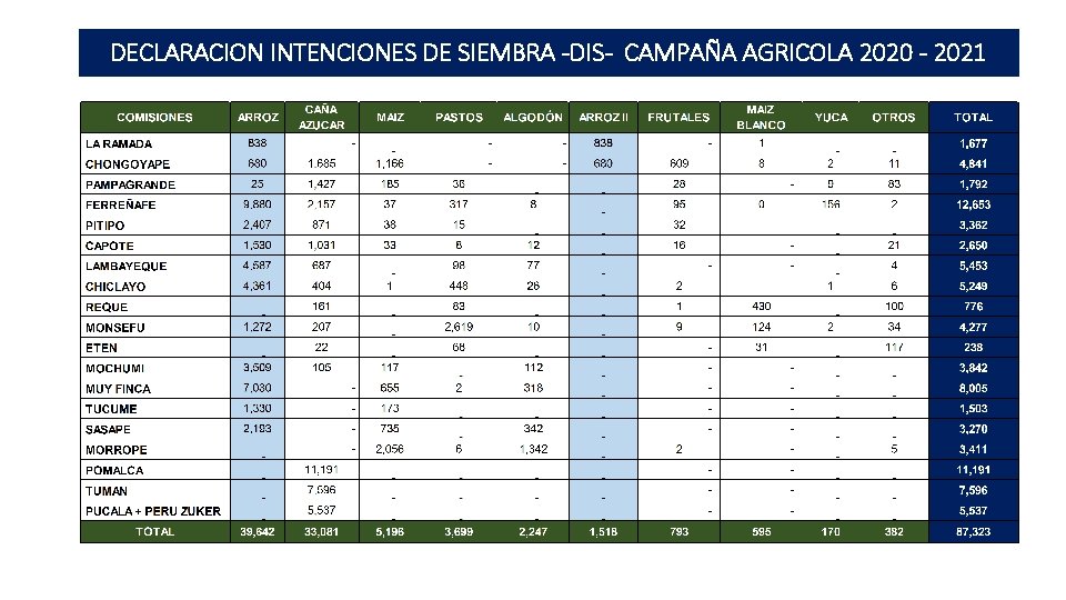 DECLARACION INTENCIONES DE SIEMBRA -DIS- CAMPAÑA AGRICOLA 2020 - 2021 