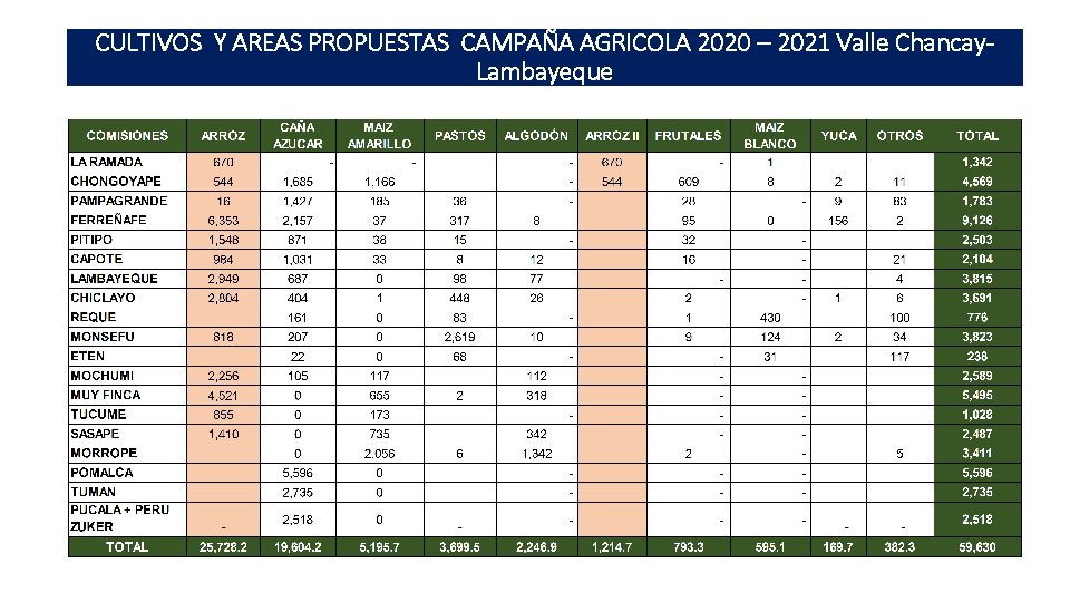 CULTIVOS Y AREAS PROPUESTAS CAMPAÑA AGRICOLA 2020 – 2021 Valle Chancay. Lambayeque 