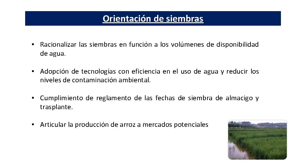 Orientación de siembras • Racionalizar las siembras en función a los volúmenes de disponibilidad