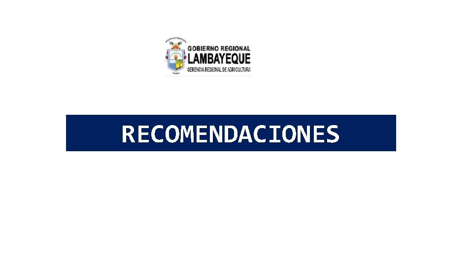 RECOMENDACIONES 