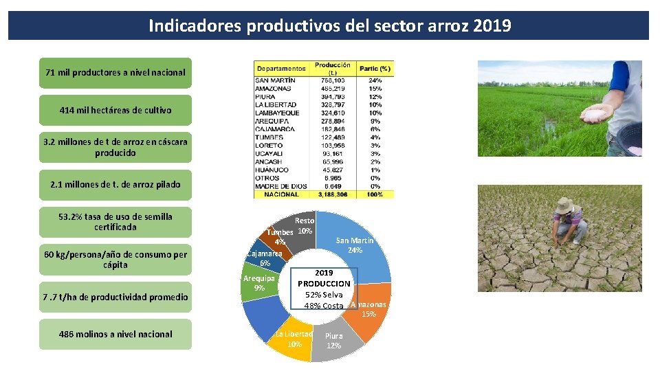 Indicadores productivos del sector arroz 2019 71 mil productores a nivel nacional 414 mil