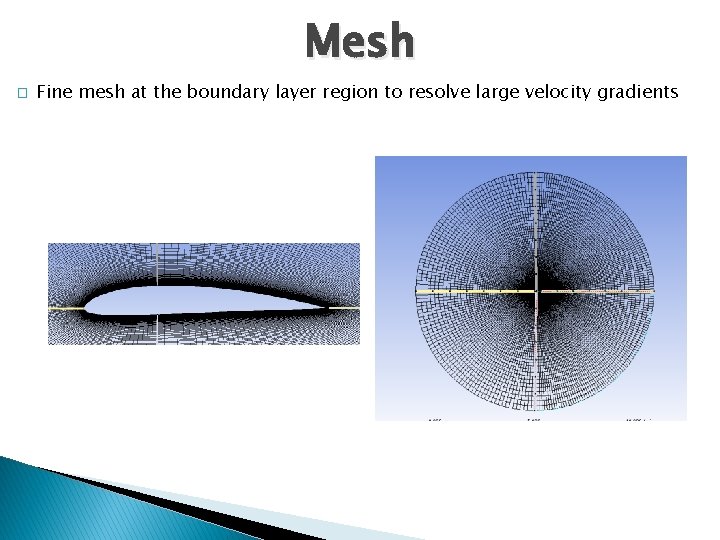 Mesh � Fine mesh at the boundary layer region to resolve large velocity gradients