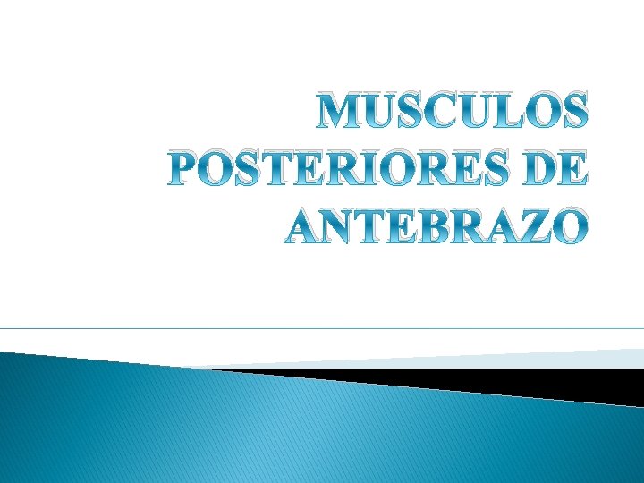 MUSCULOS POSTERIORES DE ANTEBRAZO 