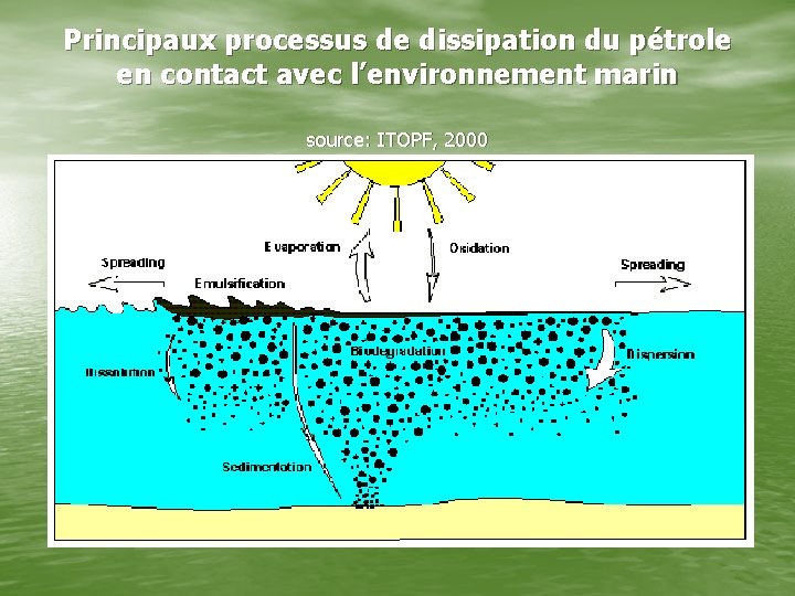 Principaux processus de dissipation du pétrole en contact avec l’environnement marin source: ITOPF, 2000