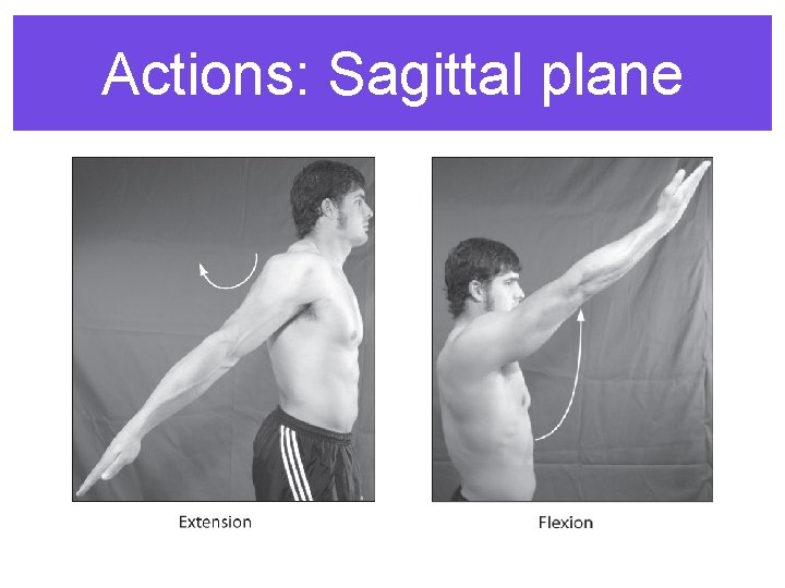 Actions: Sagittal plane 